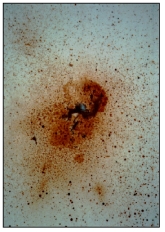 blood spatter standard